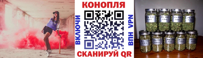 Марихуана сатива  как найти наркотики  Усолье-Сибирское 